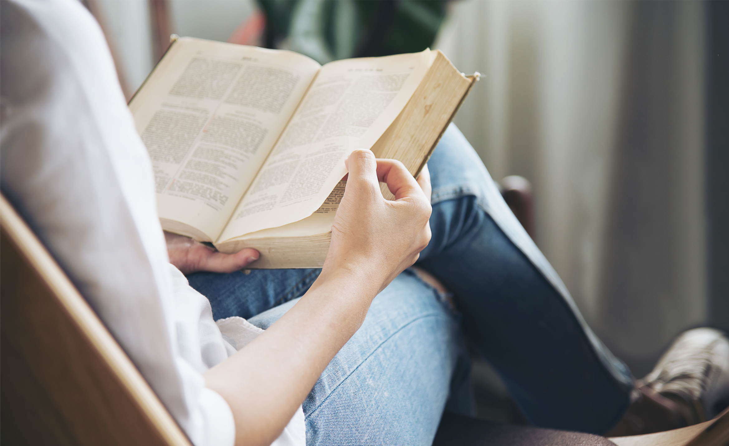Loto recomienda lectura