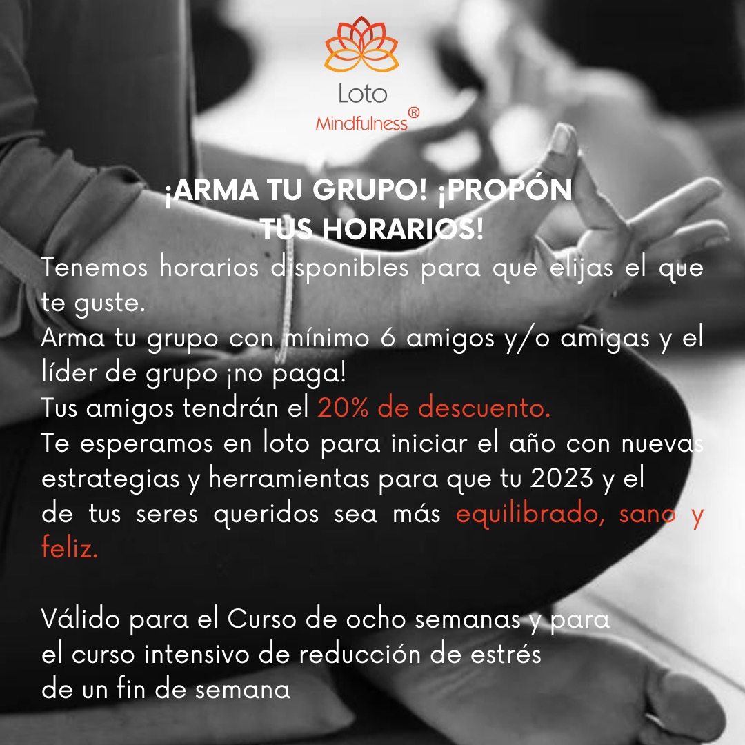 20% de descuento en cursos Loto Mindfulness