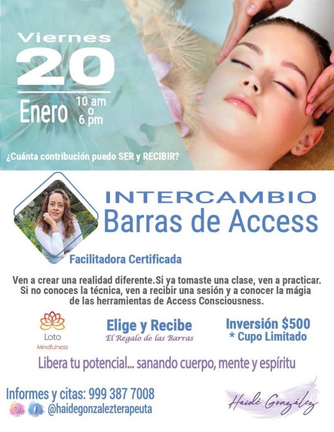 Intercambio barras de access
