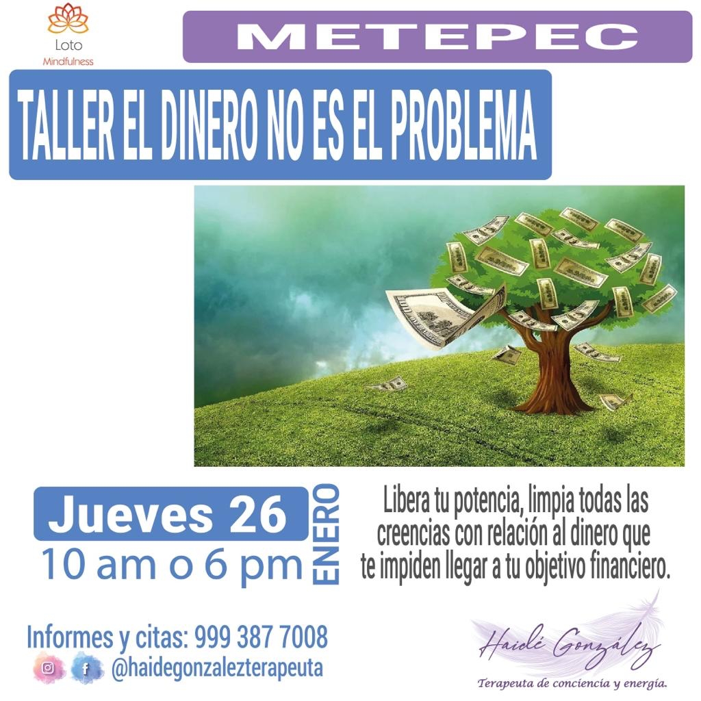 Taller el dinero no es el problema